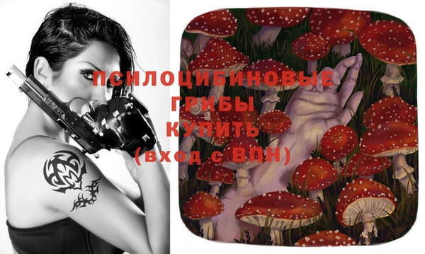 гашик Абдулино