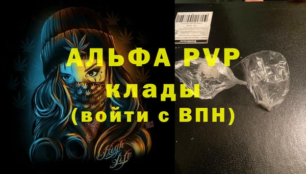 PSILOCYBIN Строитель